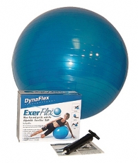 Replacement Ball for DFX Fit Chair